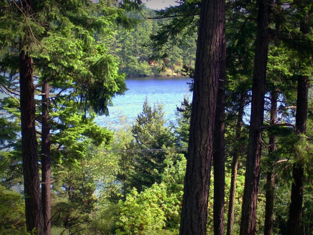 Inn To The Woods Friday Harbor Zewnętrze zdjęcie